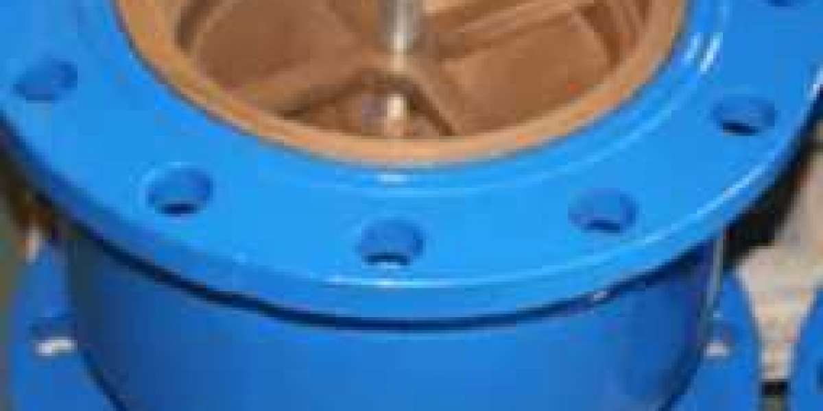 Non Slam Swing Check Valve Manufacturer in USA