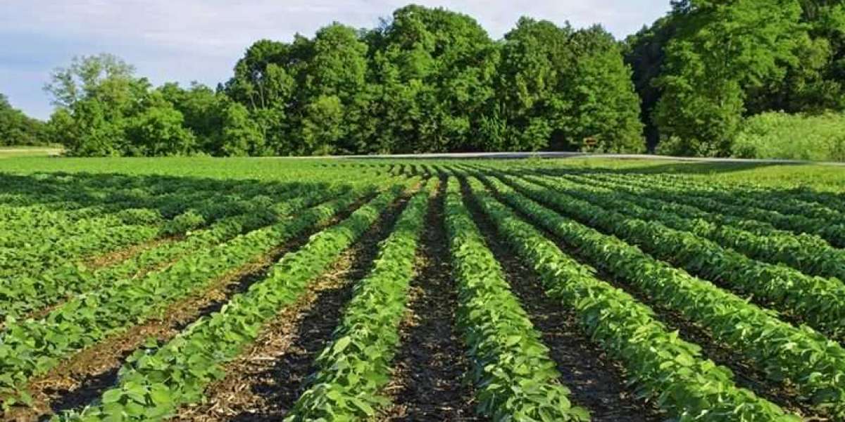 Brazil Agriculture Market Report and Forecast 2024-2032