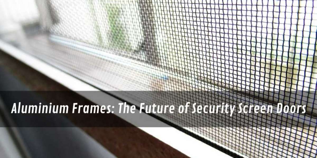 Aluminium Frames: The Future of Security Screen Doors