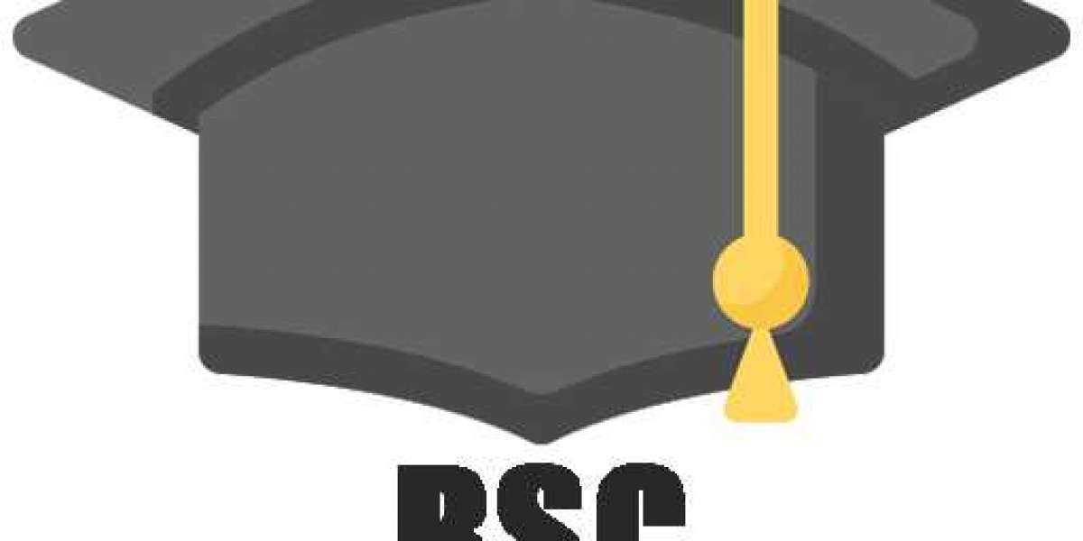 What Can You Do with a BSc? A Look at Your Options