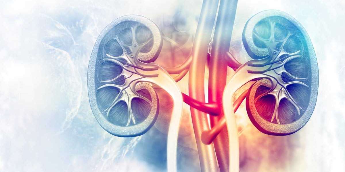 Breakthrough Therapies Propel Kidney /renal fibrosis Treatment Market Growth in 2024