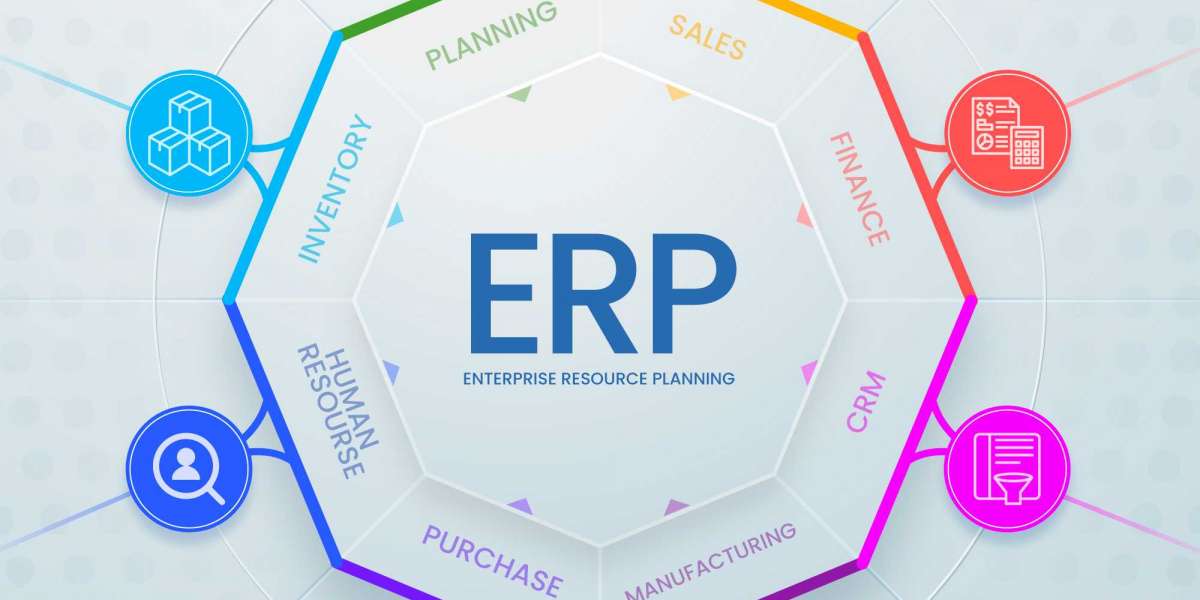 Exploring Agile Methodologies in ERP Software Development Companies