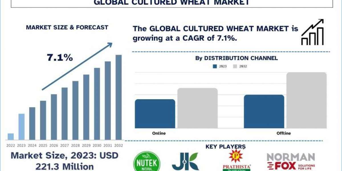 Cultured Wheat Market Size, Trend, Growth & Analysis