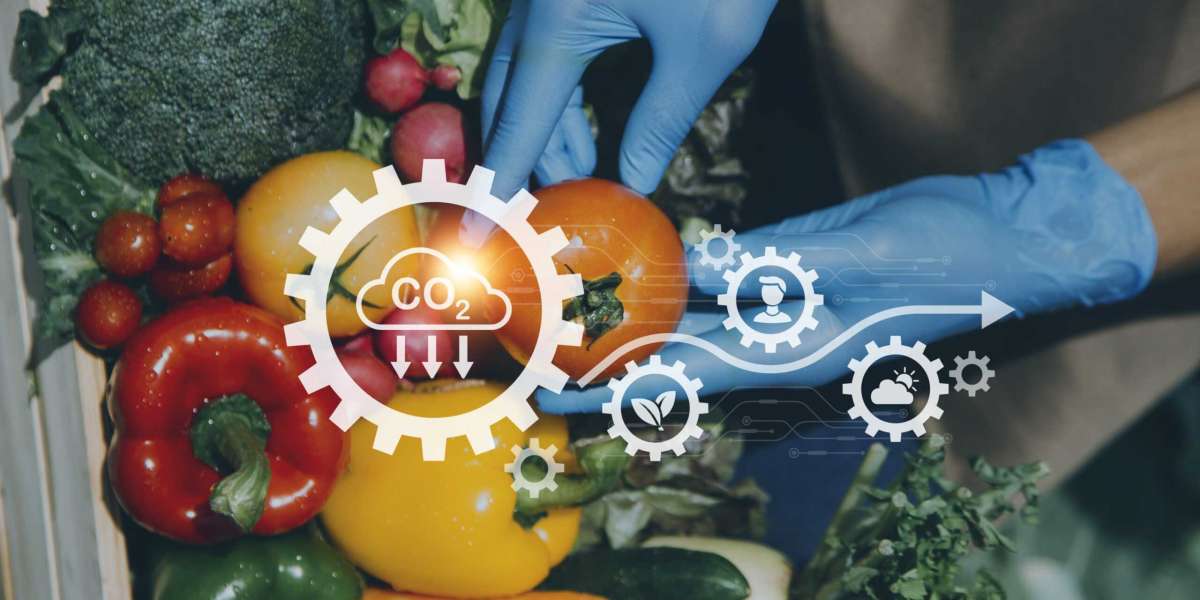 Food Certification Market Size, Industry Analysis Report 2023-2032 Globally