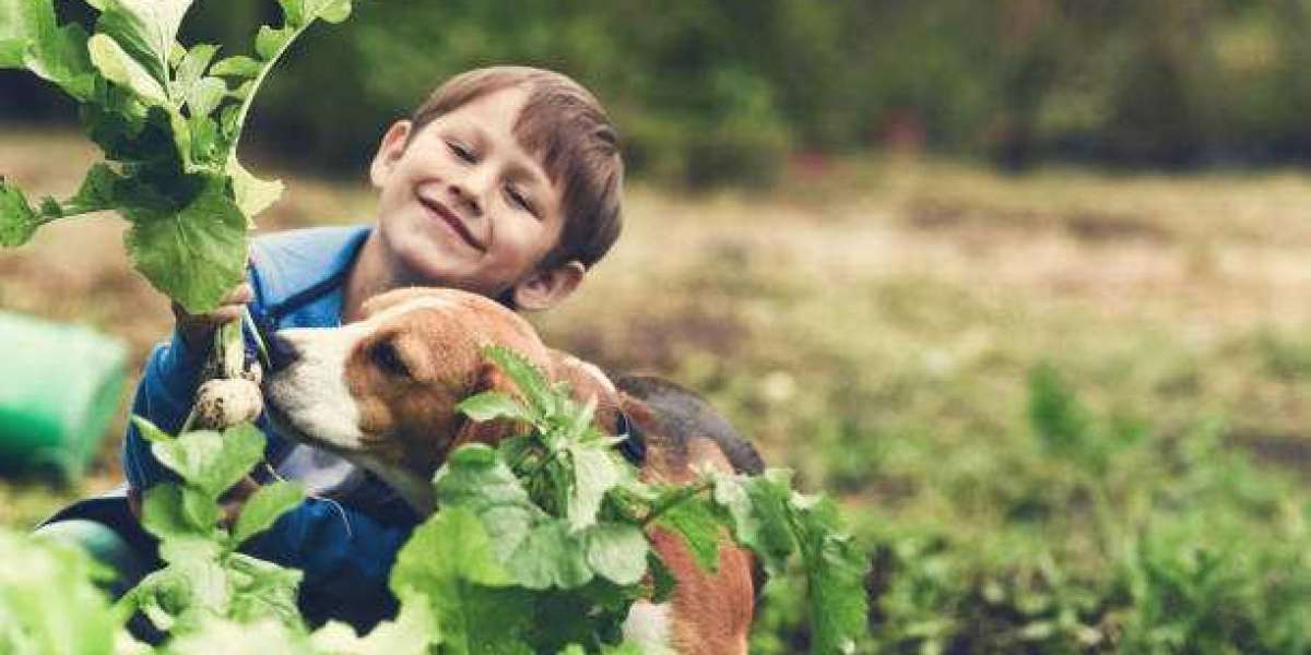 Is it safe to give your dog radishes as a treat?