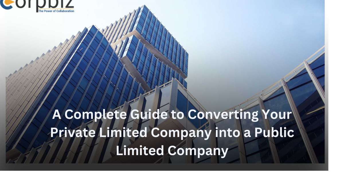 A Complete Guide to Converting Your Private Limited Company into a Public Limited Company