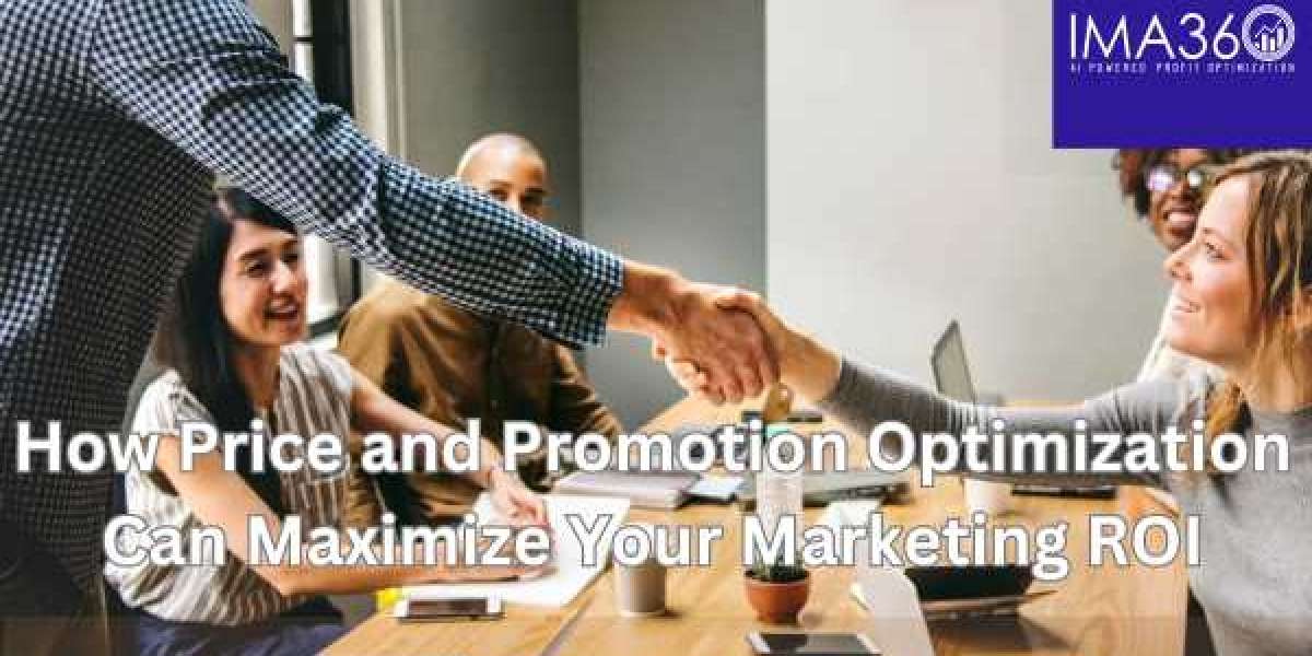 How Price and Promotion Optimization Can Maximize Your Marketing ROI