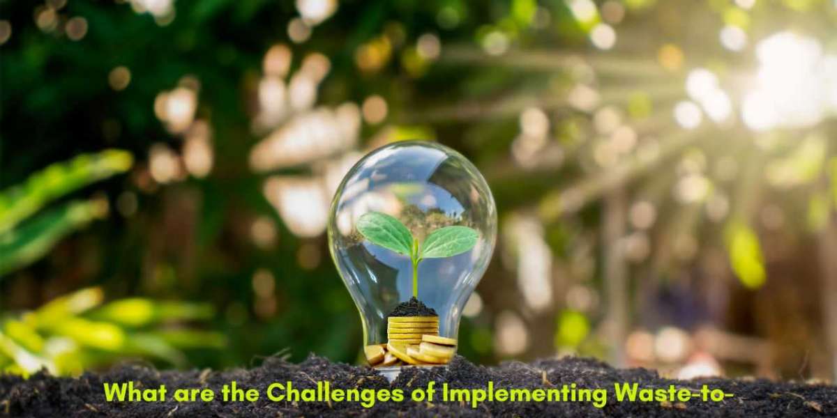 What are the Challenges of Implementing Waste-to-Energy Solutions?