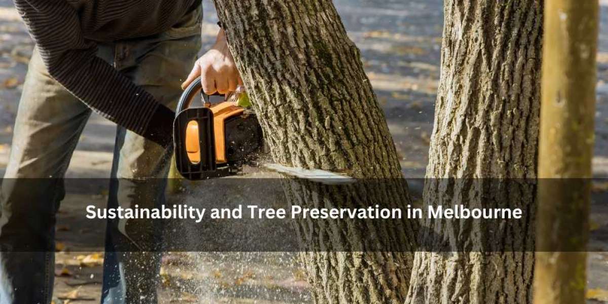 Sustainability and Tree Preservation in Melbourne