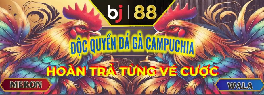 bj889org Cover Image