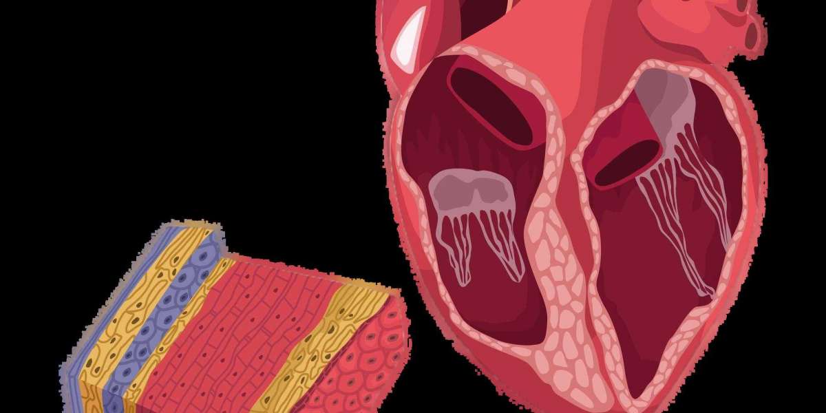 Pacemaker Implantation in India: Benefits, Risks & Treatment Procedure Full Details