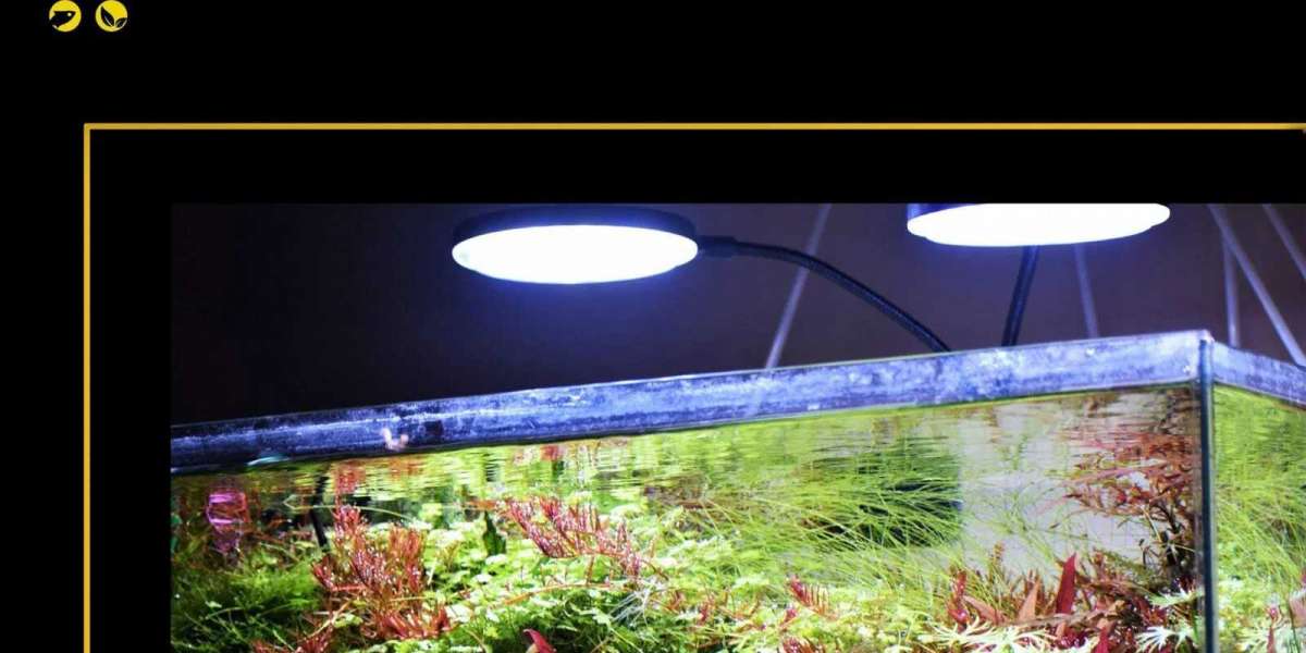 Transform Your Tank: The Ultimate Online Shopping Guide for Aquarium LED Lighting