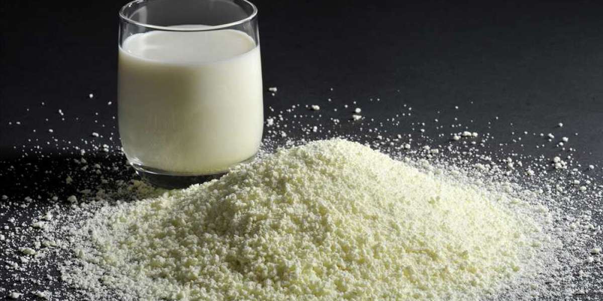 Key Players and Competitive Dynamics in the Dry Whole Milk Powder Market