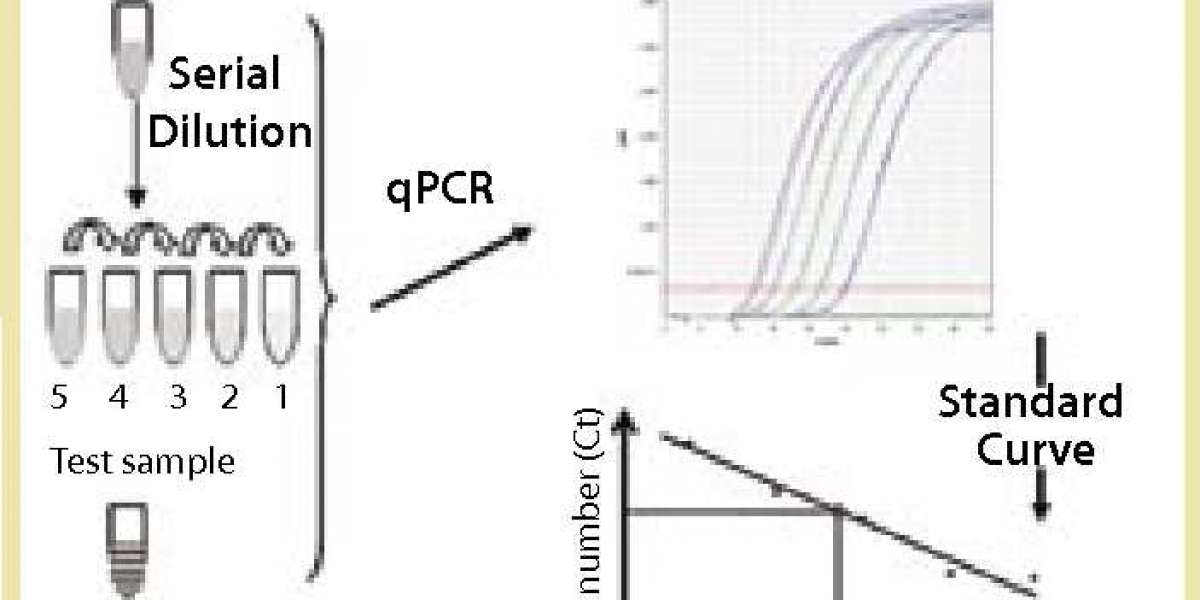 Creative Diagnostics Launches Comprehensive Host Cell DNA Assay Kits for Bioprocess Impurity Analysis