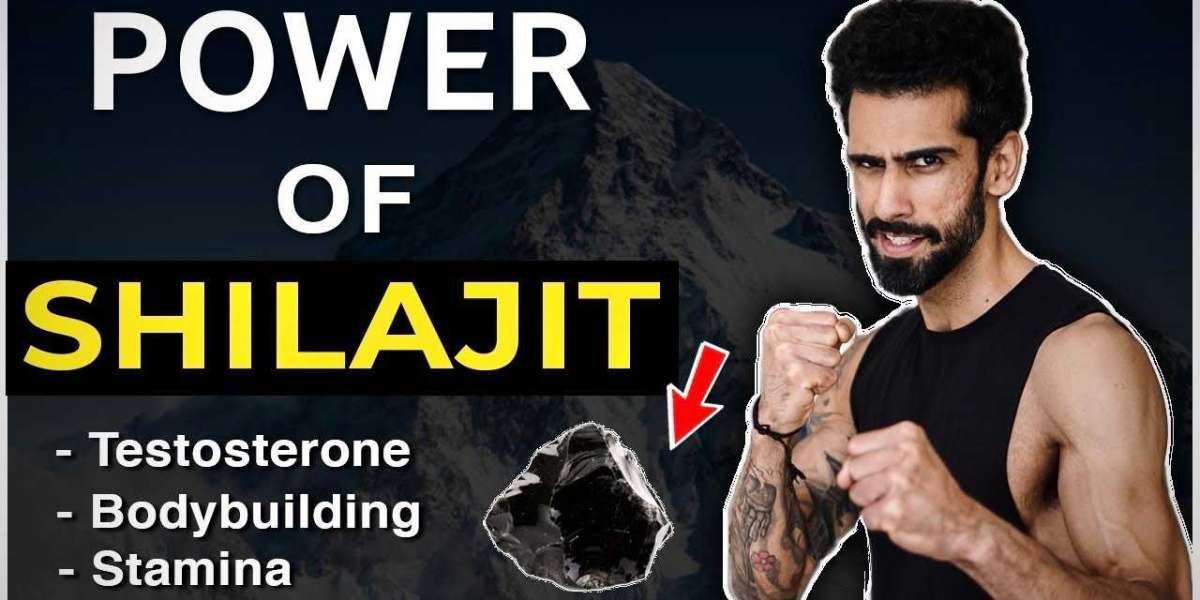 The Ancient Remedy for Modern Health Challenges Himalayan Shilajit