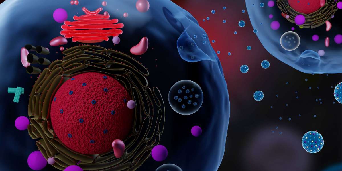 Understanding Cytokines: Their Roles, Applications, and Detection