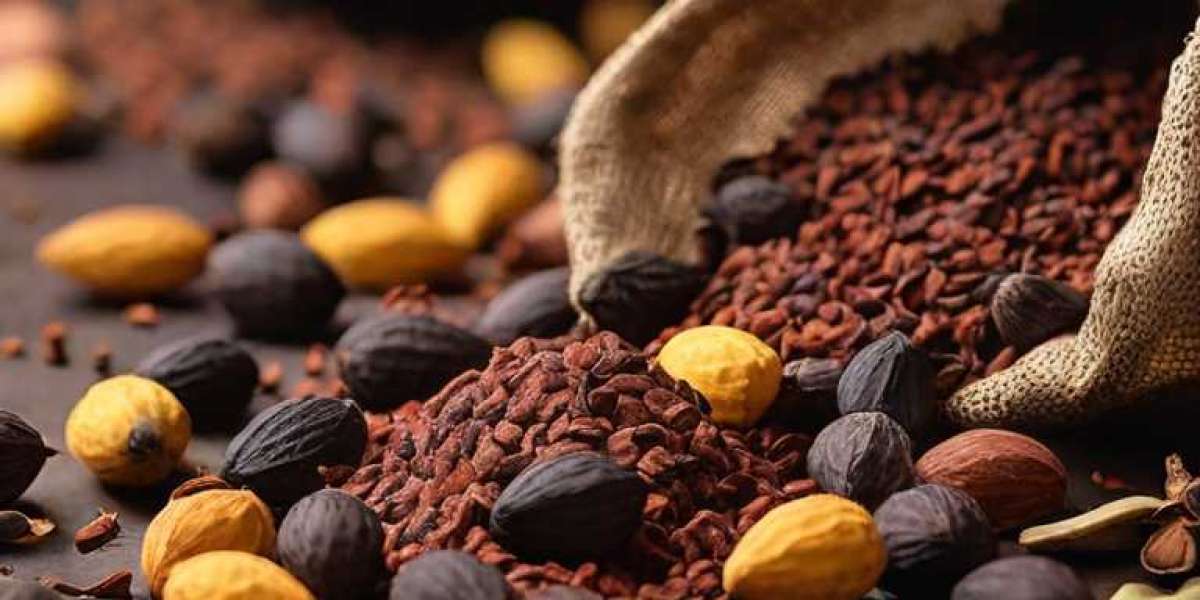 Cocoa Nib Manufacturing Plant Project Report 2024: Industry Trends and Unit Setup