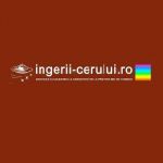 ingeriicerului Profile Picture