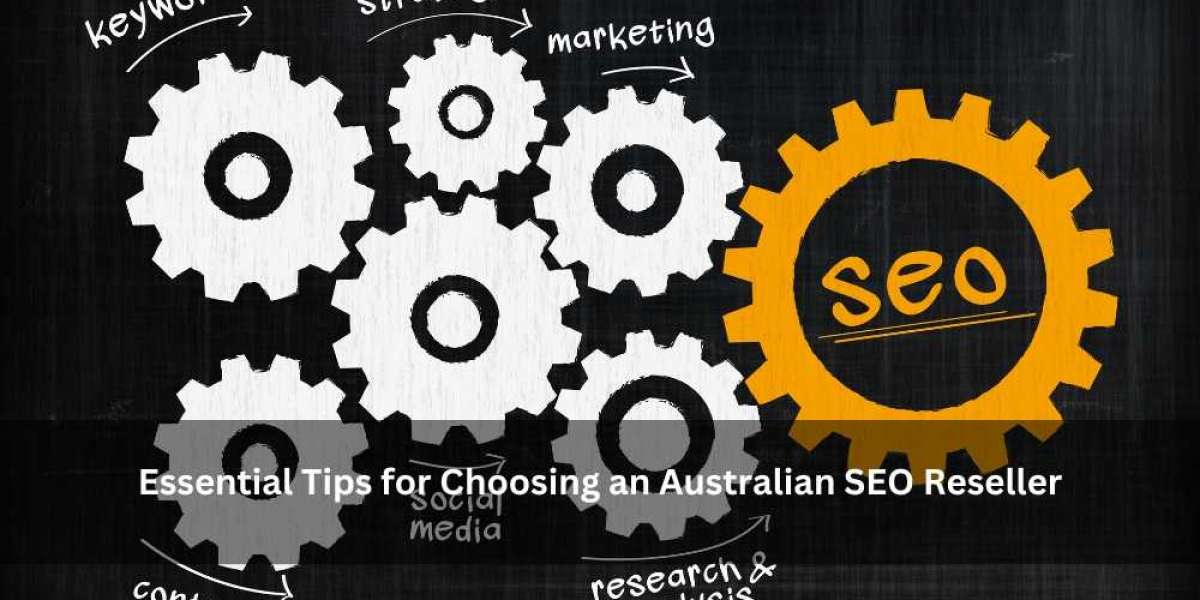 Essential Tips for Choosing an Australian SEO Reseller