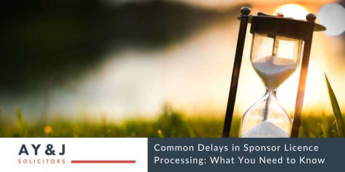 Common Delays in Sponsor Licence Processing: What You Need to Know