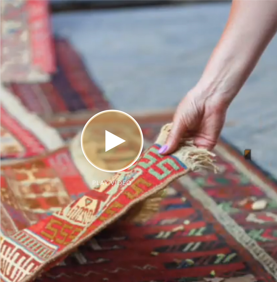 Removing Pet Urine from Oriental and Wood Rugs - Devine Rug Care