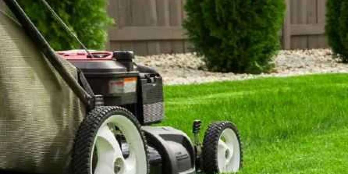 Lawn Care Tips for All Seasons