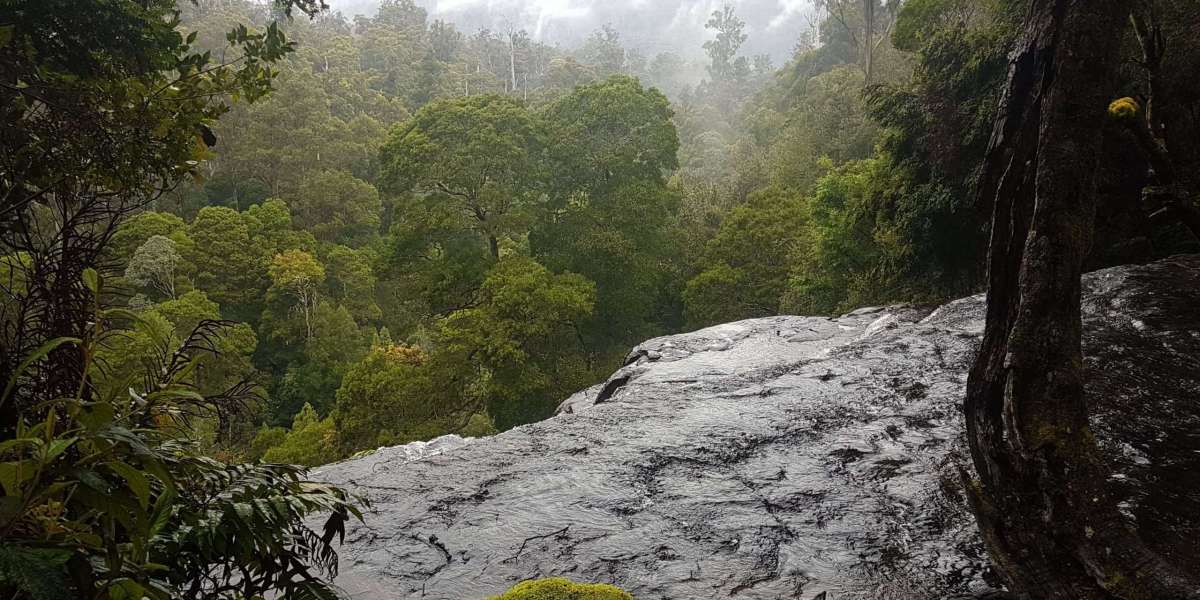 Explore Cradle Mountain with Wild Tasmania Tours