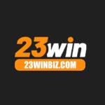 23winbizcom Profile Picture