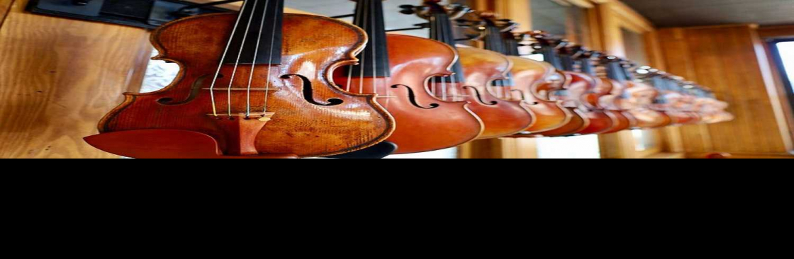 paytonviolins Cover Image