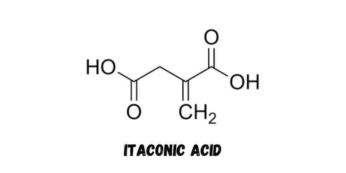 Itaconic Acid Cost Breakdown: Labor Charges, Logistics & Insights