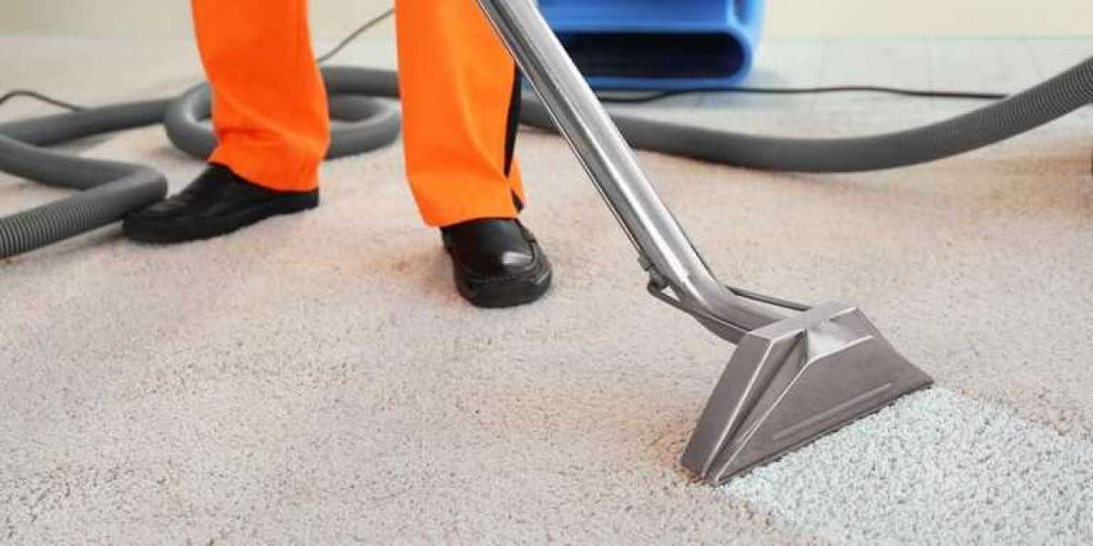 How Carpet Cleaning Enhances Your Home’s Comfort and Air Quality