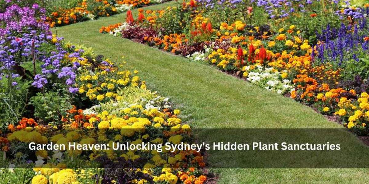 Garden Heaven: Unlocking Sydney's Hidden Plant Sanctuaries