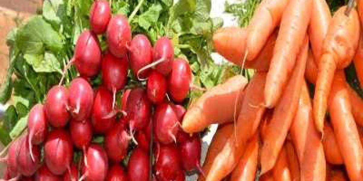 Best Vegetable Exporter in Bangladesh