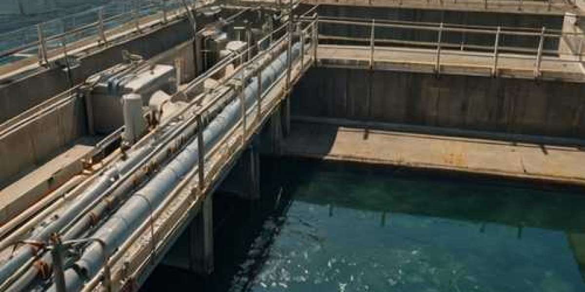 Key Drivers of Growth in the Tanzania Water and Wastewater Treatment Market by 2031