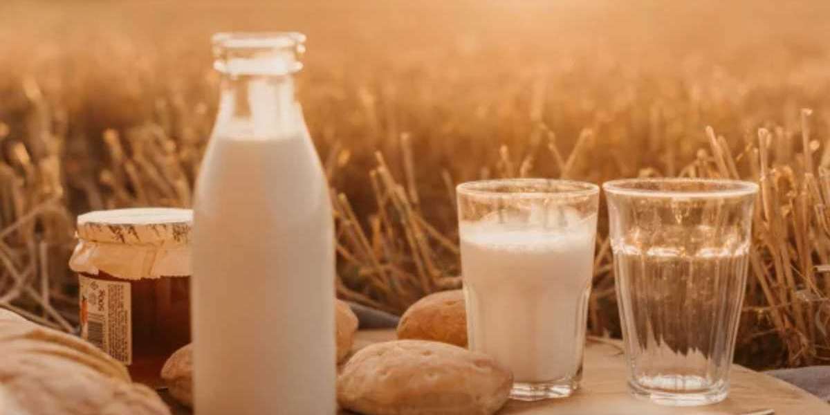 Organic Milk: A Guide for Chennai Residents