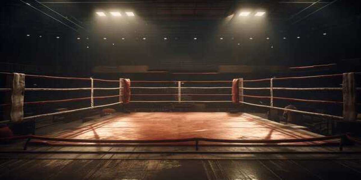 Boxing Ring Canvas Covers: A Comprehensive Guide