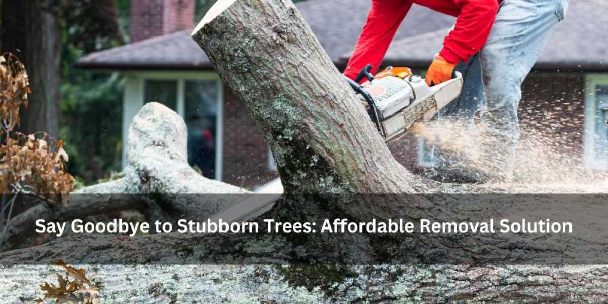 Say Goodbye to Stubborn Trees: Affordable Removal Solution