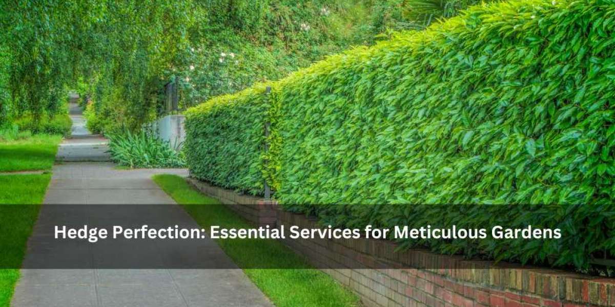 Hedge Perfection: Essential Services for Meticulous Gardens