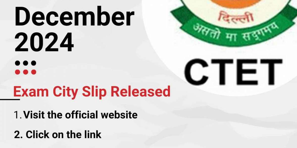 CTET December 2024 Examination: Complete Information and Updates