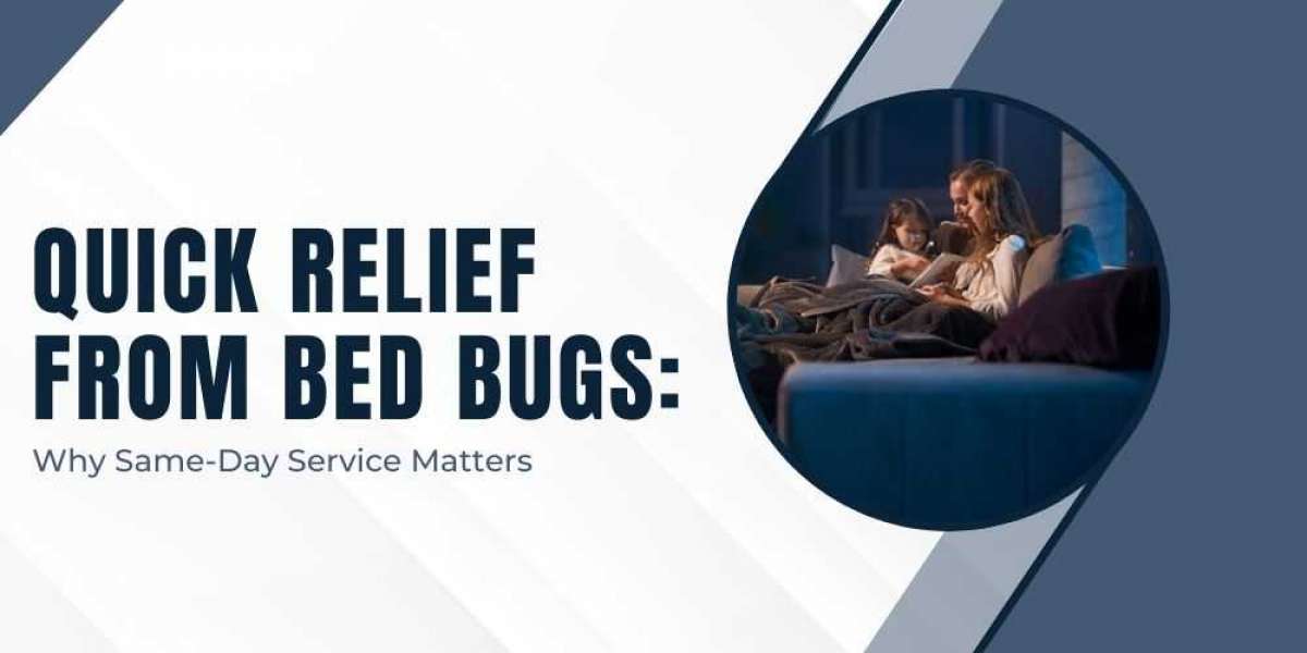 Quick Relief From Bed Bugs: Why Same-Day Service Matters