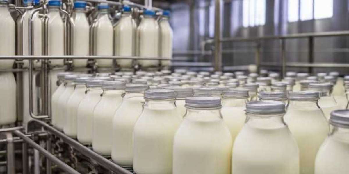 UHT Milk Processing Plant Project Report 2024: Industry Trends, Unit Setup and Machinery