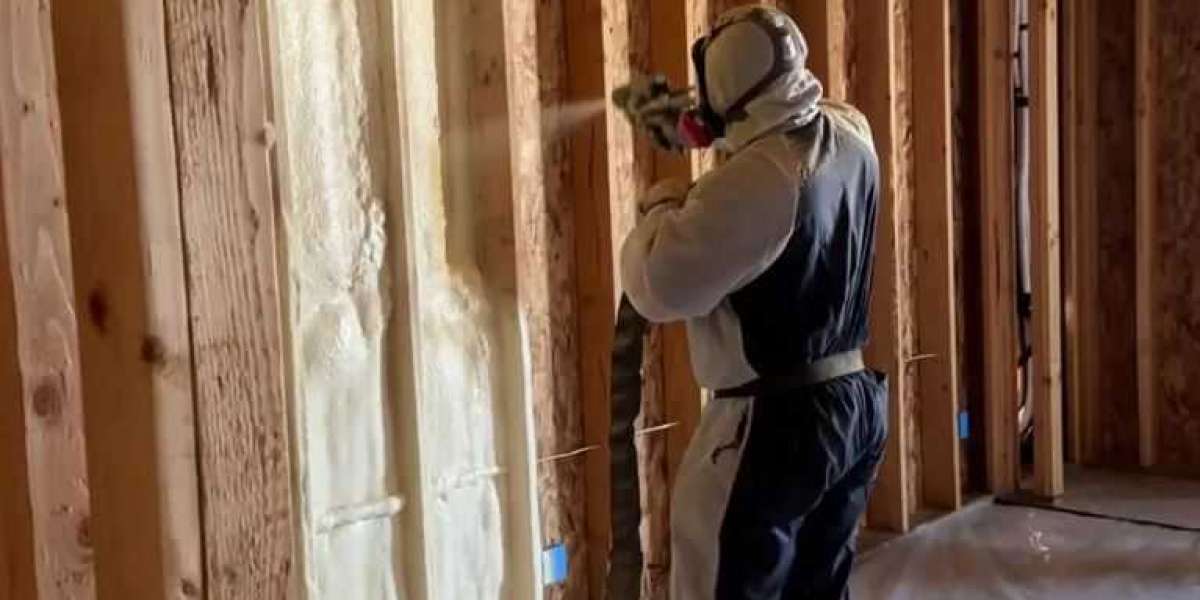 Professional Spray Foam Insulation: Efficiency and Comfort Enhancement in Canyon County