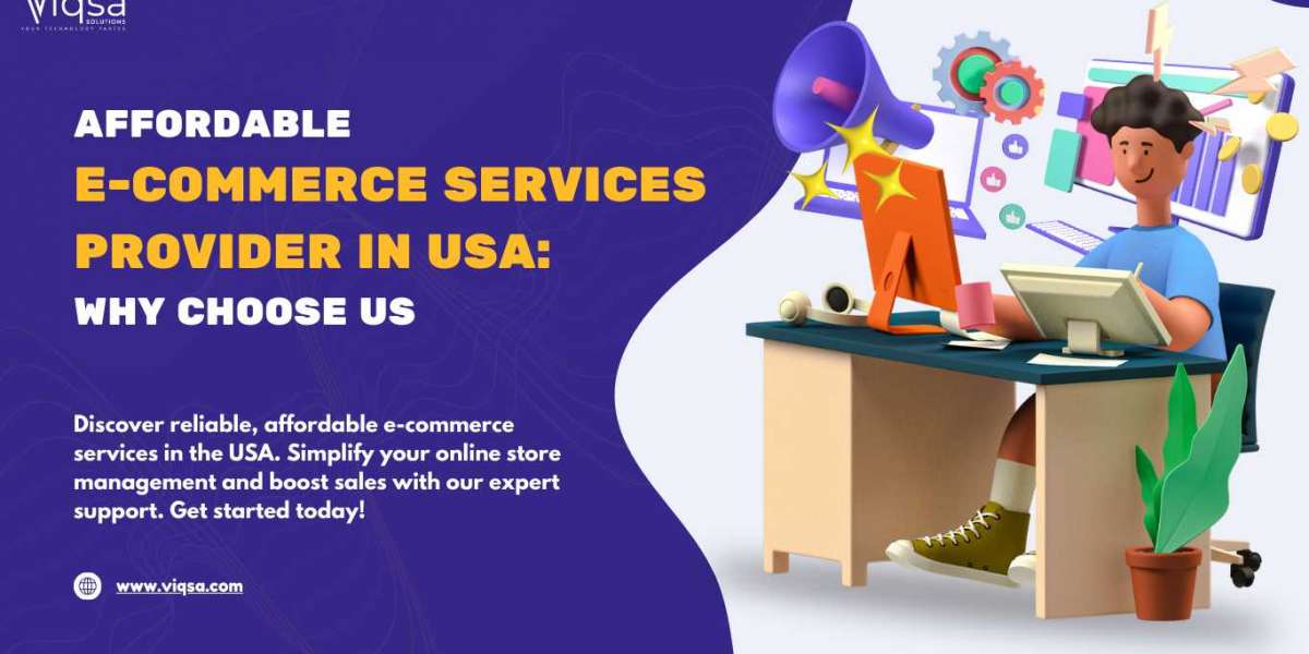 Affordable E-Commerce Services Provider in USA