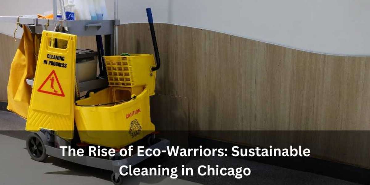 The Rise of Eco-Warriors: Sustainable Cleaning in Chicago