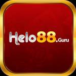 helo88guru Profile Picture