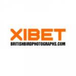 xibetbritishbirdphotographs Profile Picture