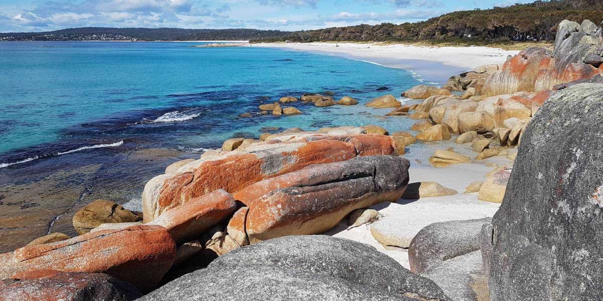 Explore the Wonders of Tasmania with Wild Tasmania Tours