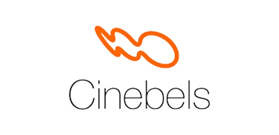 Cinebels :: Buy WiiM System | Authorized Dealer in India