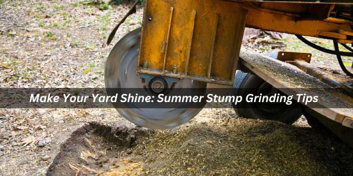 Make Your Yard Shine: Summer Stump Grinding Tips