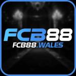 fcb88wales Profile Picture